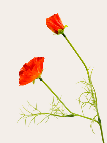 Tak klaproos 51cm oranje
