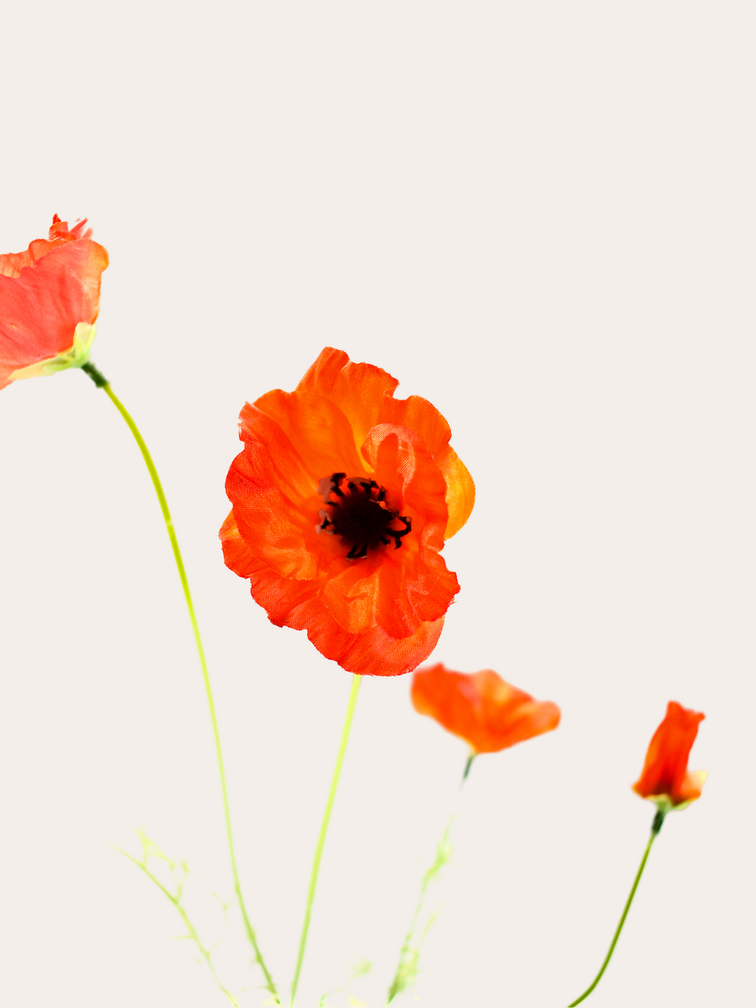 Tak klaproos 51cm oranje