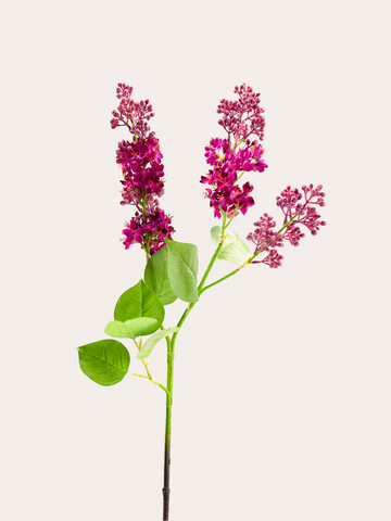 Seringen tak 88cm Fuchsia