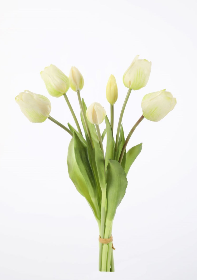 Tulpen Bos
